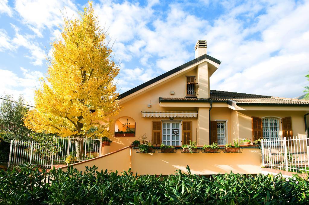 세리알레 L'Albero Della Vita B&B 외부 사진
